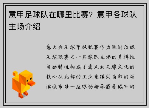 意甲足球队在哪里比赛？意甲各球队主场介绍